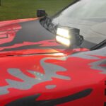 Purelux-panther-alpha90-muda-2